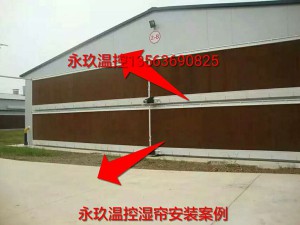 91看片免费观看安裝現場