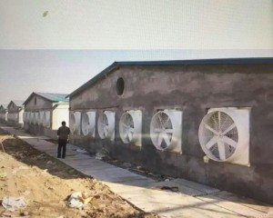 九幺看片下载安裝現場