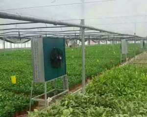 九幺看片下载安裝現場